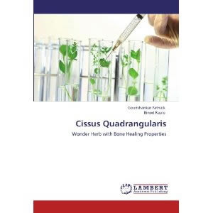 Cissus-quadrangularis